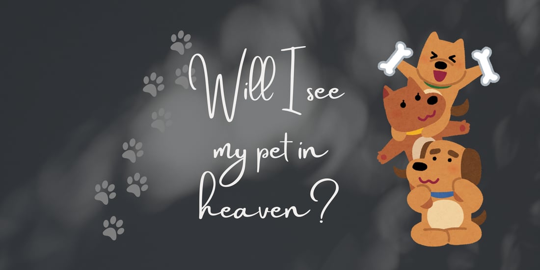 Pets in heaven