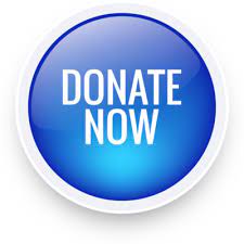 donate now